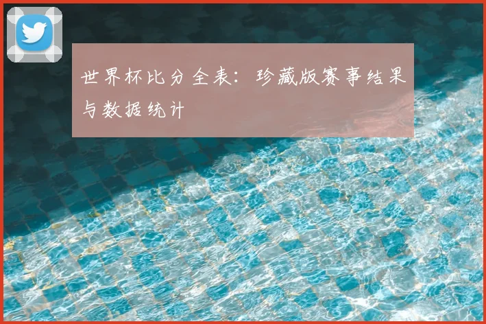 世界杯比分全表:珍藏版赛事结果与数据统计