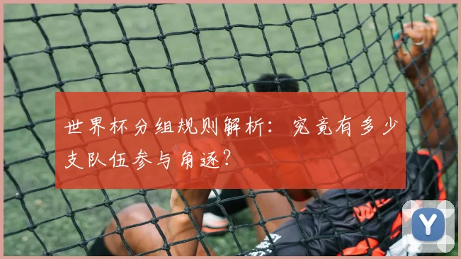 世界杯分组规则解析:究竟有多少支队伍参与角逐?