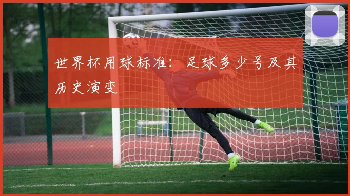 世界杯用球标准:足球多少号及其历史演变