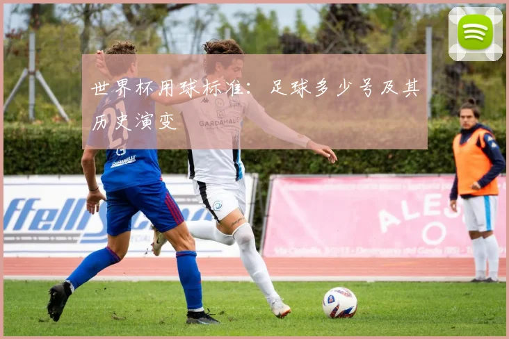 世界杯用球标准:足球多少号及其历史演变