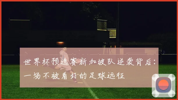 世界杯预选赛新加坡队逆袭背后:一场不被看好的足球远征