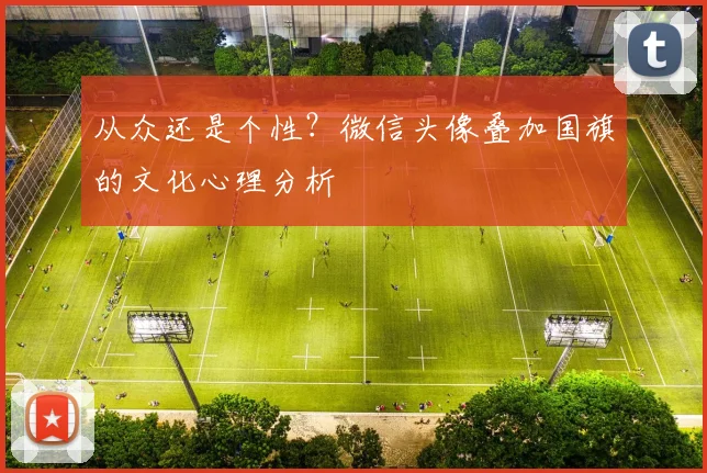 从众还是个性?微信头像叠加国旗的文化心理分析