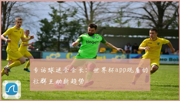 专访球迷会会长:世界杯app观看的社群互动新趋势